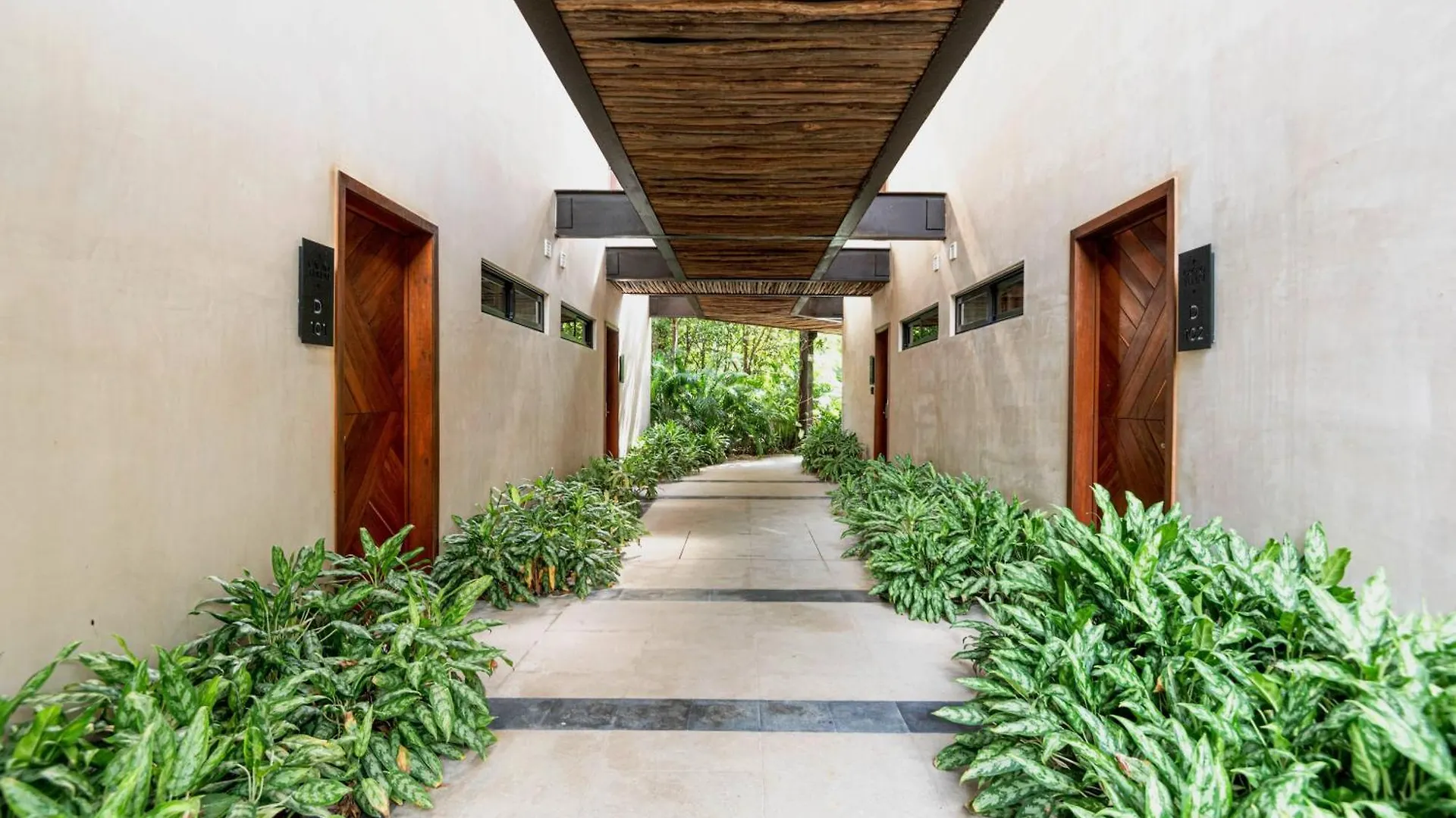 Cacao Tulum - Studio With Exterior Plunge Pool Washer & Dryer